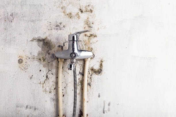  Hidden Valley Lake, CA Mold Removal Pros