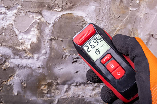 Best Crawl Space Mold Removal  in Hidden Valley Lake, CA