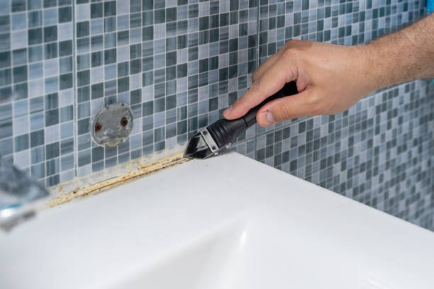 Best Attic Mold Removal  in Hidden Valley Lake, CA