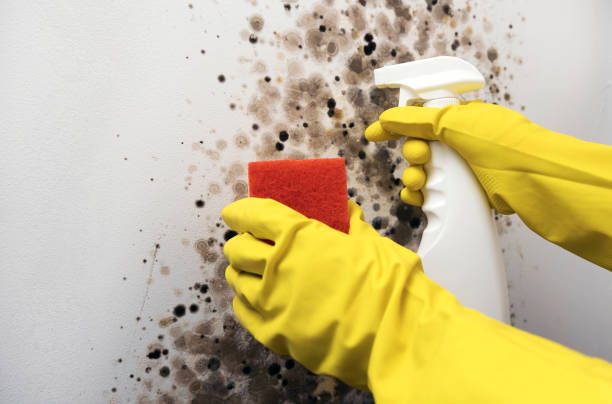 Water Damage Restoration in Hidden Valley Lake, CA